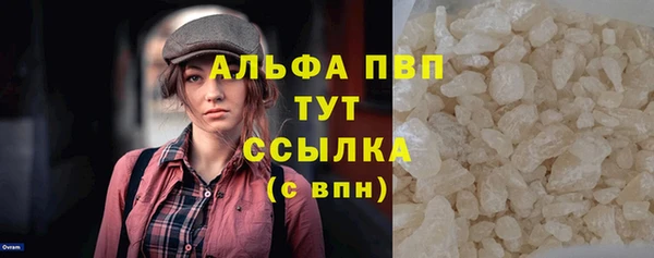 стаф Алексин