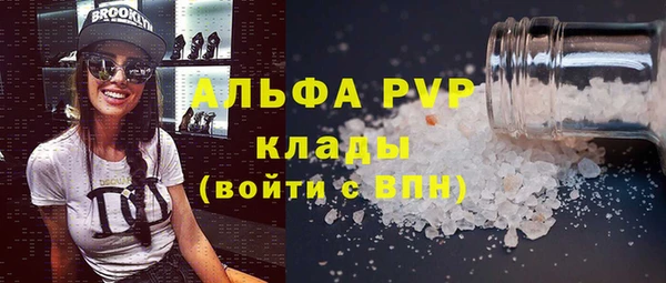 стаф Алексин