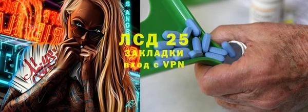 стаф Алексин