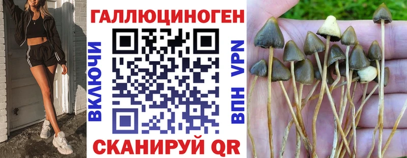 Псилоцибиновые грибы мухоморы  Камызяк 